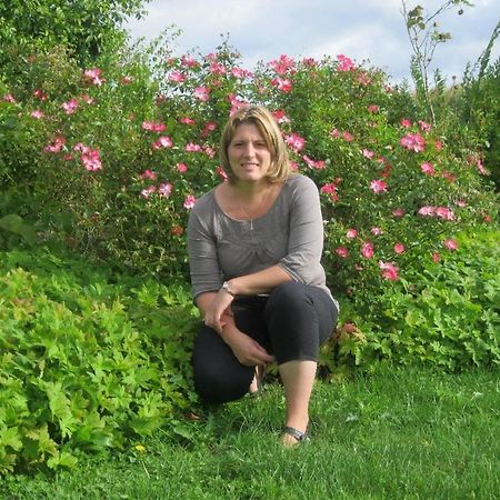 فيلا Au Jardin Fleuri Vauxaillon المظهر الخارجي الصورة