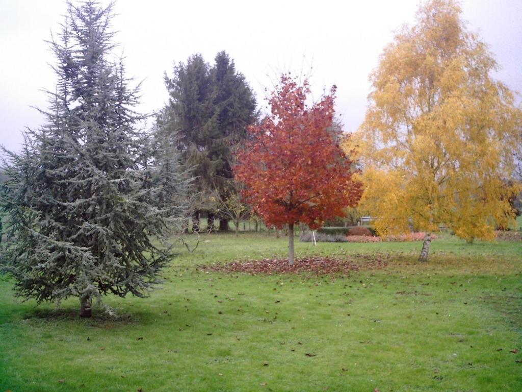 فيلا Au Jardin Fleuri Vauxaillon المظهر الخارجي الصورة