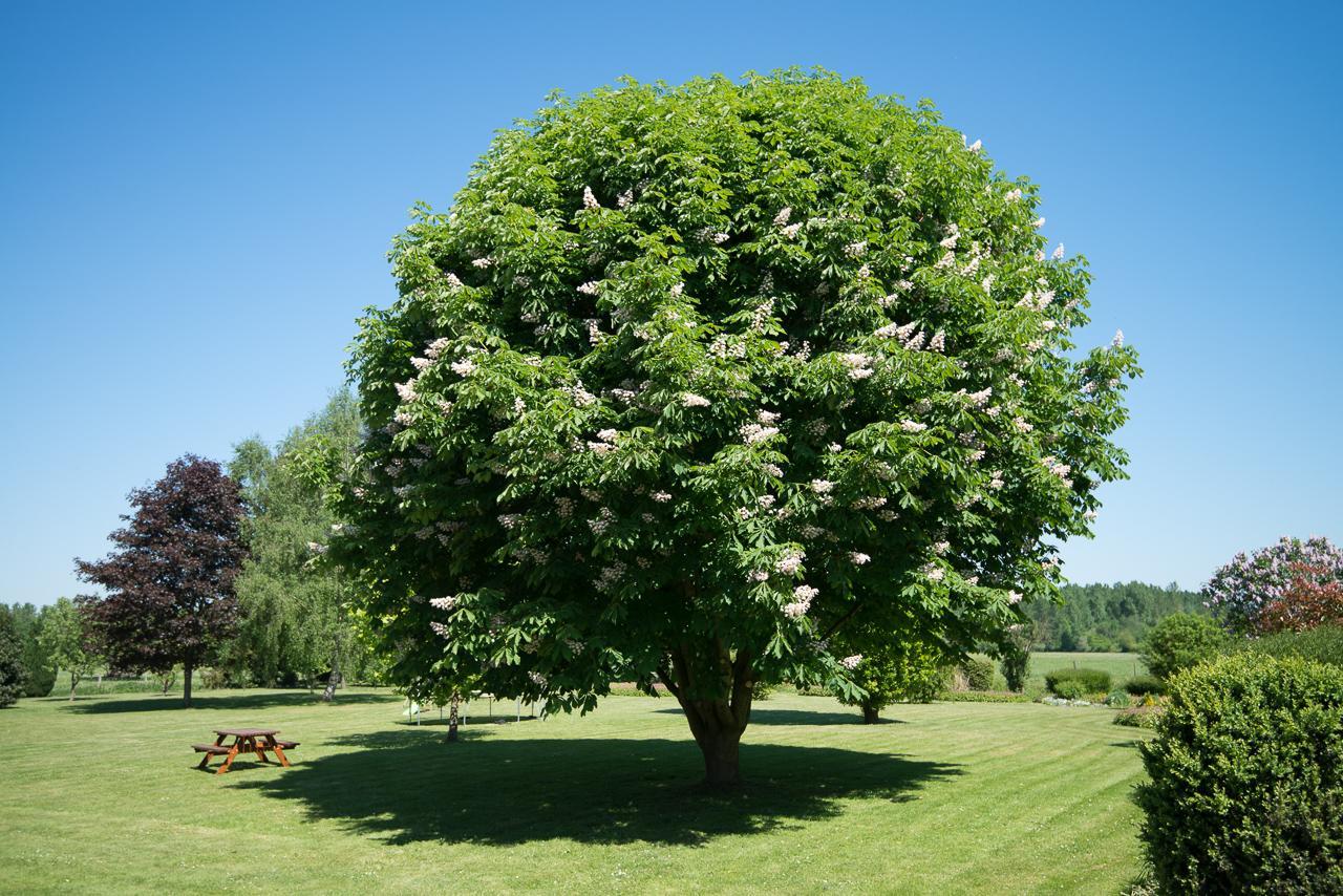 فيلا Au Jardin Fleuri Vauxaillon المظهر الخارجي الصورة