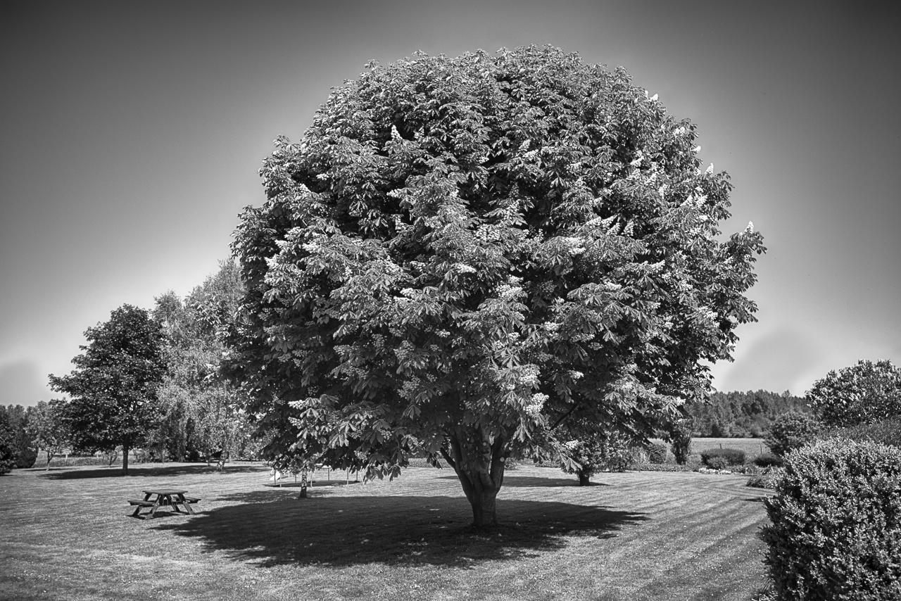 فيلا Au Jardin Fleuri Vauxaillon المظهر الخارجي الصورة